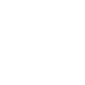 NP6 logo