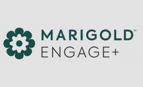 marigold engage (ex-selligent)